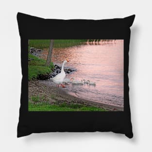 August Swim Pillow