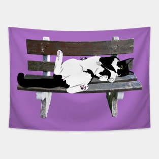 Cute Tuxedo Cat Resting on a Park Bench Copyright by TeAnne Tapestry