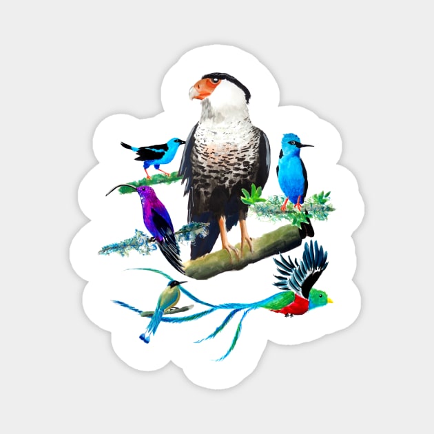 Caracara Tropical Exotic Birds Collection Magnet by julyperson