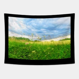 Summer Country Scene Tapestry