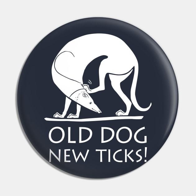 Ancient Greek Art Spartan Greyhound Hunting Dog, New Ticks! Pin by brodyquixote