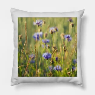 Cornflower Pillow