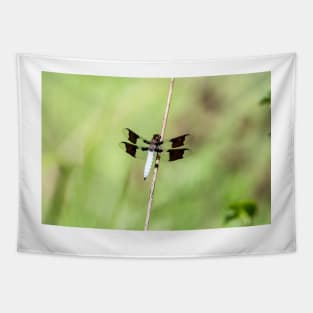 Whitetail Dragonfly by Debra Martz Tapestry