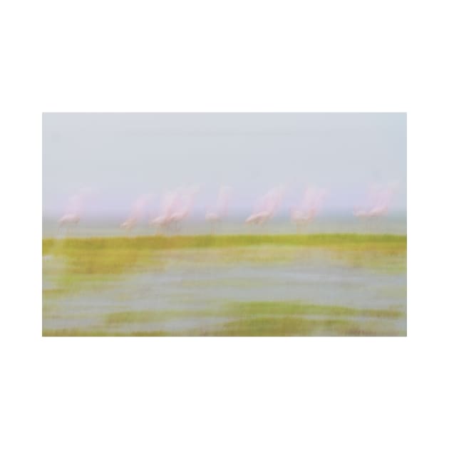 Pink and green hues nature abstract of pink flamingos in wetland Namibia. by brians101