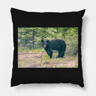 Mother Bear Pillow