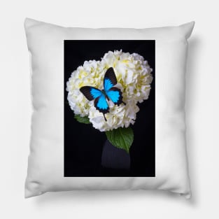 Blue Butterfly On White Hydrangea Pillow