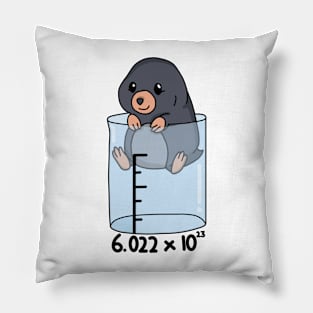 Chemistry Mole Pillow