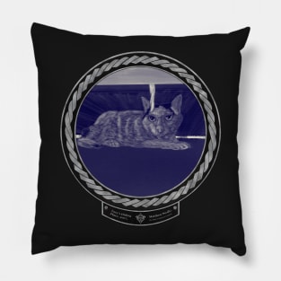 Lucy&#39;s Hiding Place (frame silver celtic rope black) Pillow