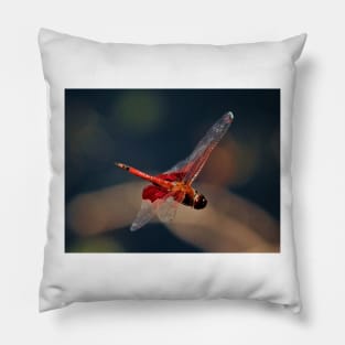 Red Skimmer In Mid-Air Pillow