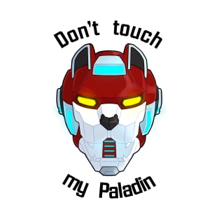 Don't Touch My Paladin T-Shirt