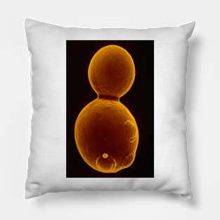 SEM of budding yeast (B250/0175) Pillow