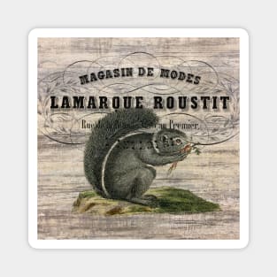 Dark Academia french country scripts woodland animal squirrel Magnet