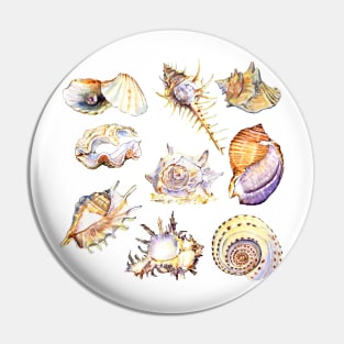 shell set watercolor illustration Pin