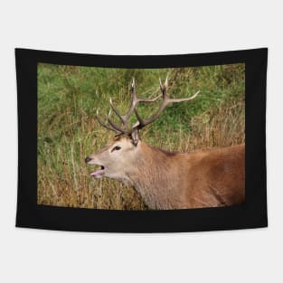 The rut Tapestry