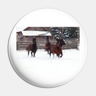 Four horses galloping on winter paddock Pin