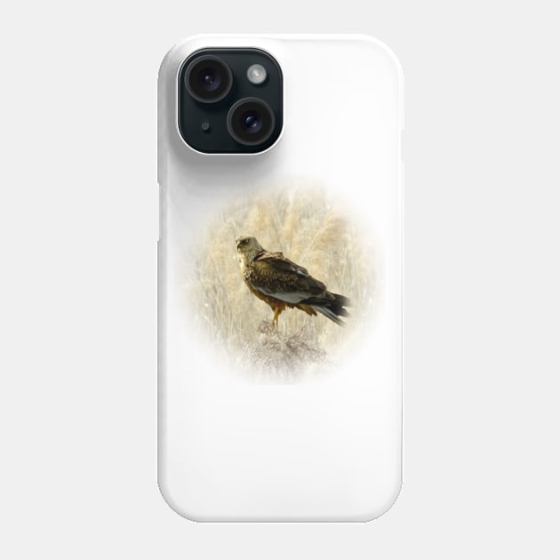 Marsh harrier Phone Case by Guardi