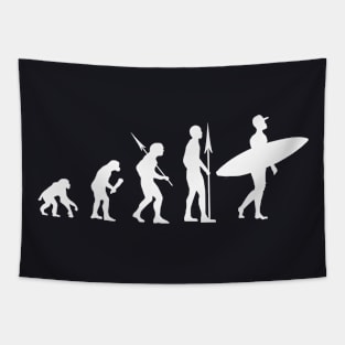 Surfer Evolution Tapestry