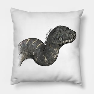 Muted Colour Boelen's Python CZ Pillow