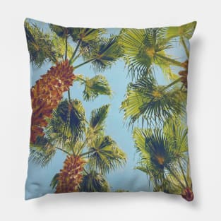 Pretty picture of a Palm Tree. Pretty Palm Trees Photography design with blue sky Pillow