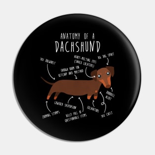 Chocolate and Tan Dachshund Dog Anatomy Pin