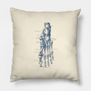 Left Foot Skeletal Diagram - Vintage Anatomy Poster Pillow