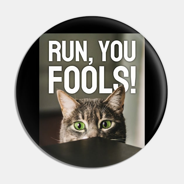 Run, you fools! Featuring funny cat! Pin by MrPila