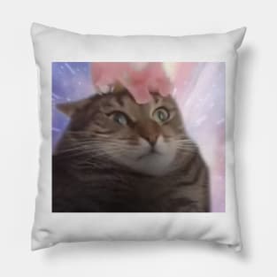 Cat Transcendence Pillow