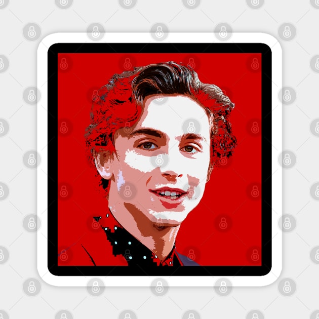 timothee chalamet Magnet by oryan80