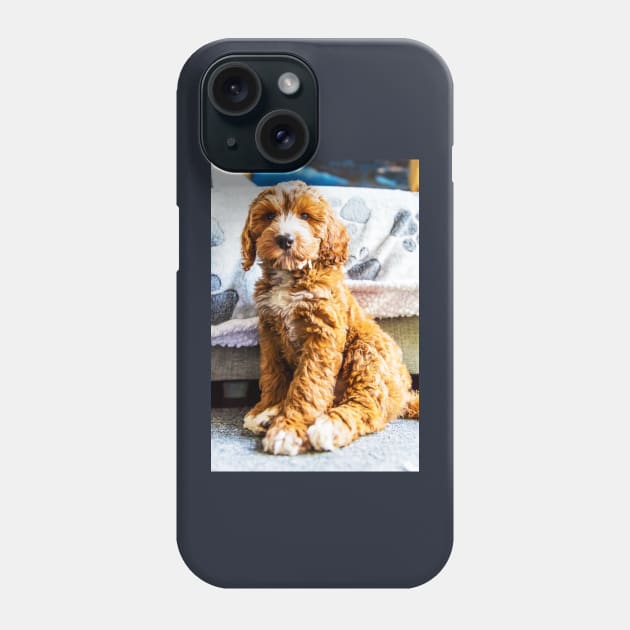 Dexter The Cockapoo Puppy Phone Case by tommysphotos