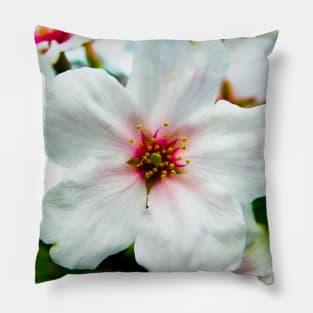 Photography - one sakura flower Pillow