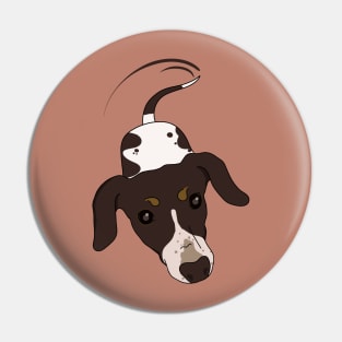 The cow-dog wants your food Pin