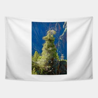 Black Canyon Tree Tapestry