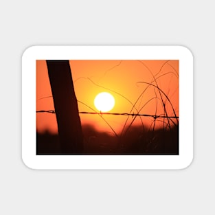 Bright Orange  Fence Line Sunset Magnet