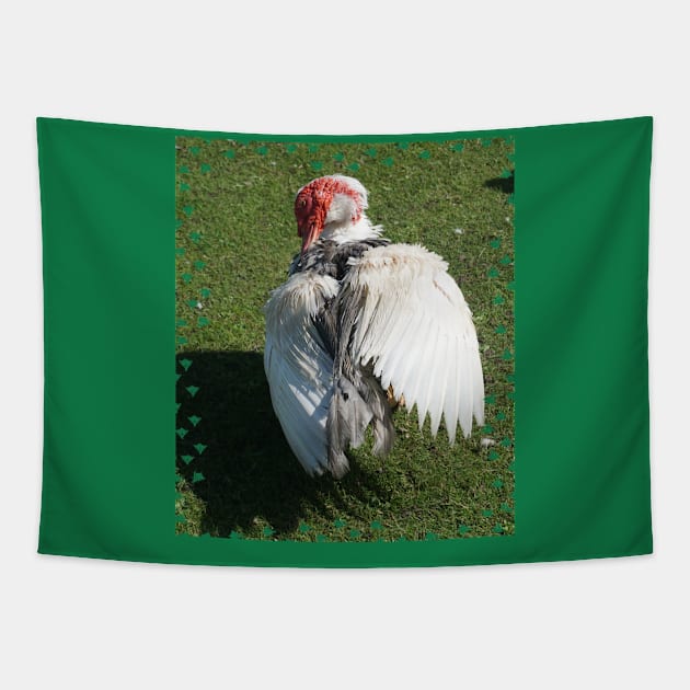 Muscovy Duck Tapestry by Nicole Gath Photography