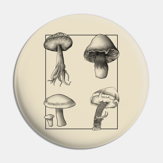 Botanical Mushrooms lineart Pin by leepianti