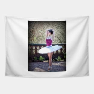 dancer Tapestry