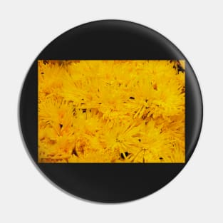 Yellow Chrysanthemums Pin