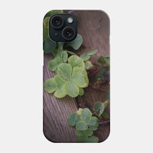 Lucky or Determined? Saint Patricks Day Shamrocks Phone Case