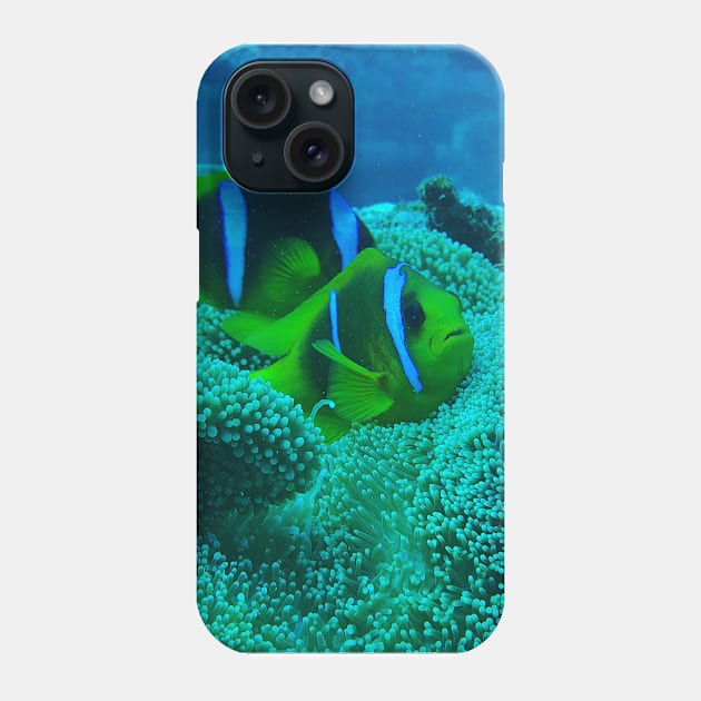 Clownfish Phone Case by likbatonboot