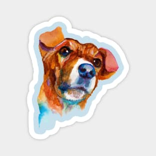 Dog portrait Magnet