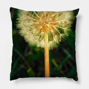 Make a wish Pillow