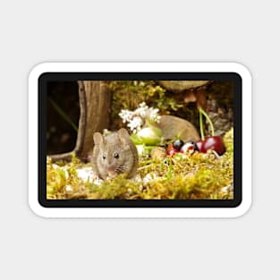 Wild  cute garden mouse Magnet