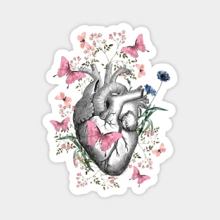 Floral and pink butterflies with Human Heart in love, vintage effect watercolor pink  flowers, Heart, anatomical Human heart Magnet