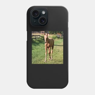 TB COLT Phone Case