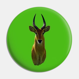 Antelope An Animal Portrait Pin