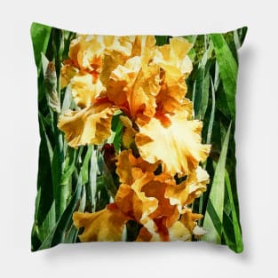 Irises - Celtic Glory Pillow