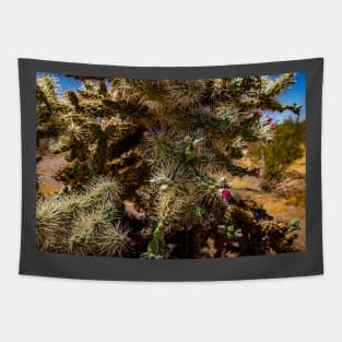 Cholla Cactus along the Apache Trail Tapestry