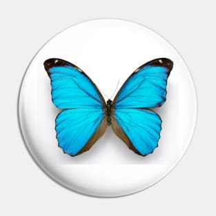 Cramer's blue butterfly (C010/8389) Pin