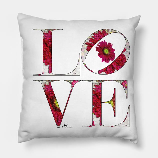 LOVE Letters November Birth Month Chrysanthemum Pillow by Symbolsandsigns