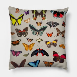 Butterflies Everywhere 🦋 Pillow